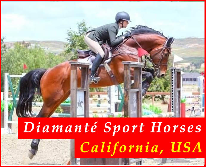 Diamante Sport Horses, California